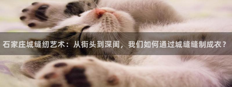 7牌摩登