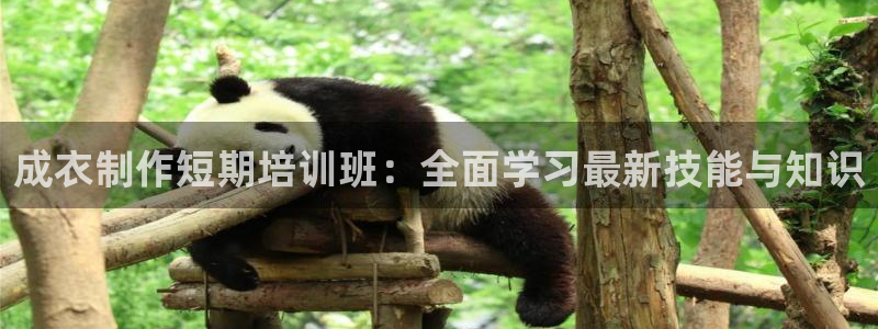 摩登6地7O667