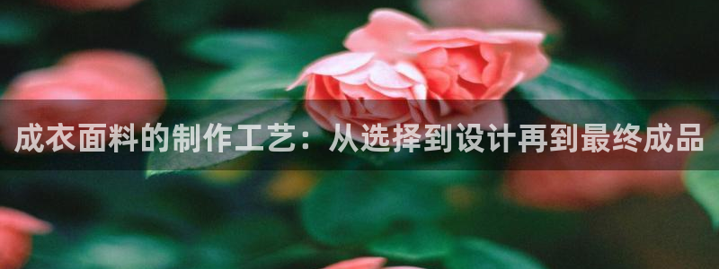 摩登4右7O667