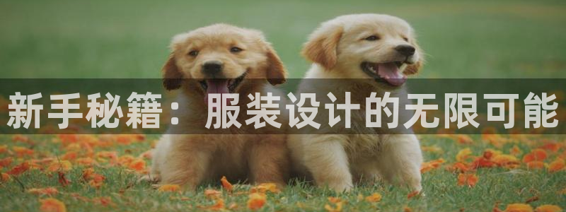 摩登3吕7O667