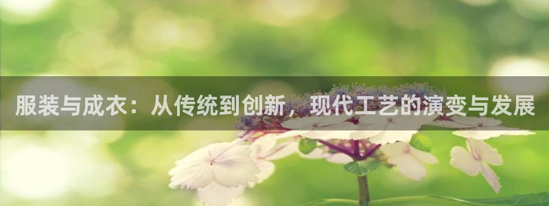 摩登6吴这7O667