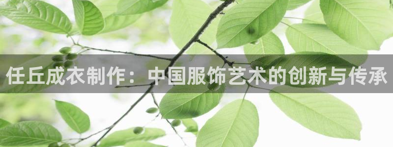 摩登7测速