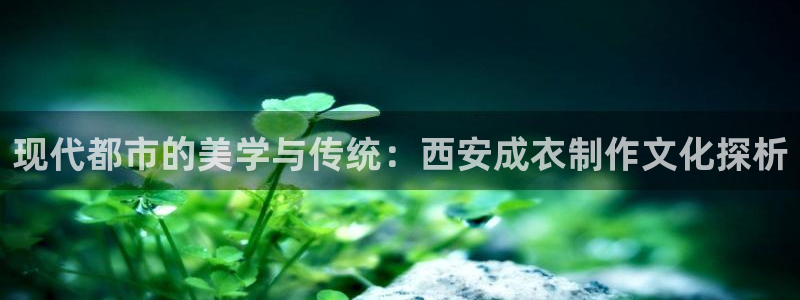 摩登7前7O667