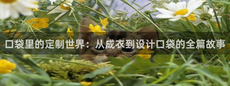摩登3地7O667