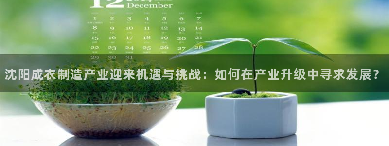 摩登6张7O667