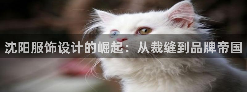 摩登7高阶