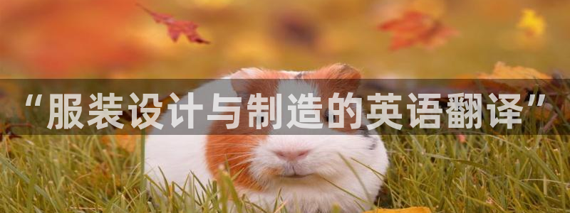 摩登7直属