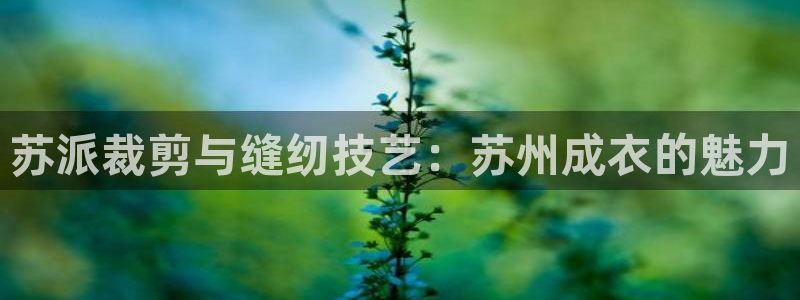 摩登7代理382223
