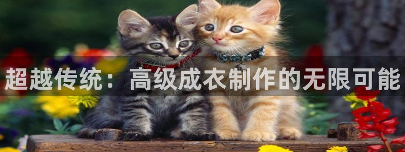 摩登7注册思333OO