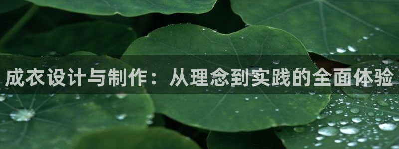 摩登3周这7O667