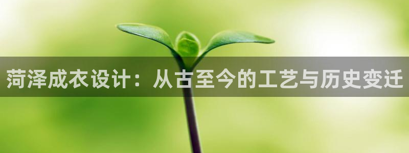 摩登7右3299O7