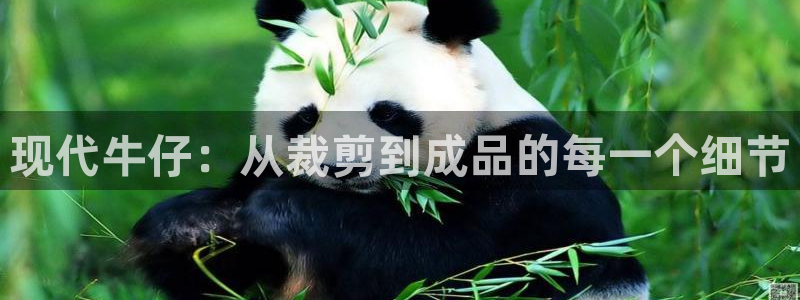 摩登7 lite