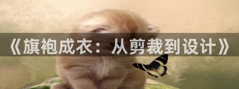摩登5施7O667