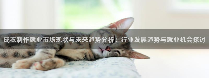 摩登7日7O667