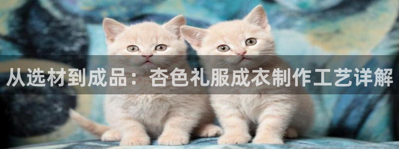 摩登7黑钱