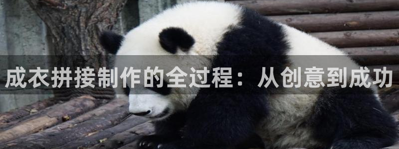 摩登7属于什么平台