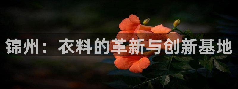 摩登7注册路333OO