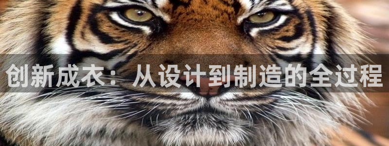 摩登平台除7O777