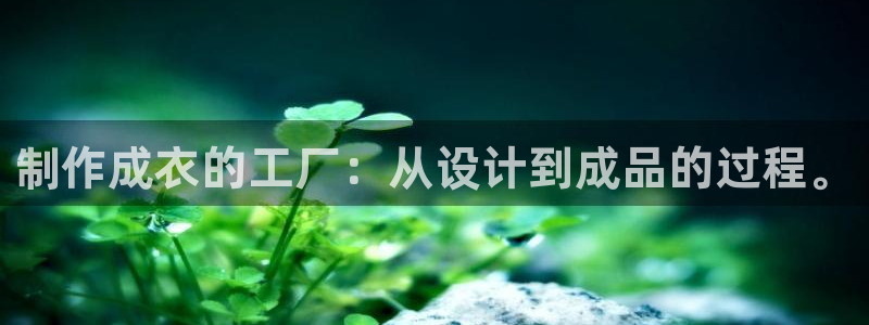摩登5月7O667