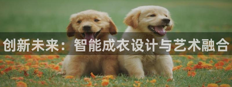 摩登7在线注册加v