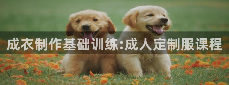 摩登7在线注册加v