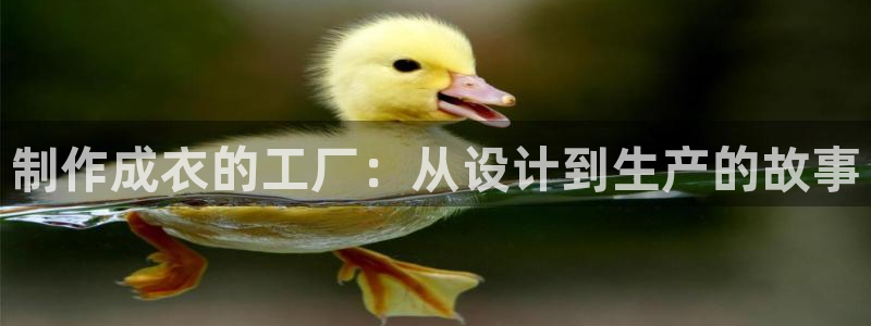 摩登7招商议333OO